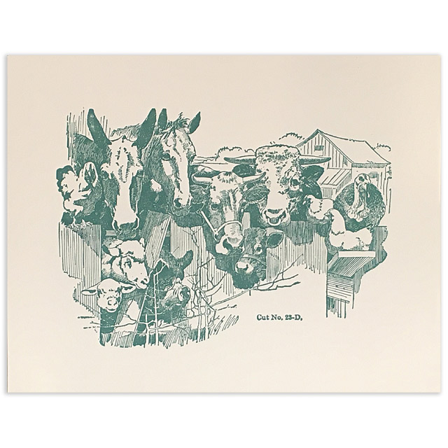 Le Sueur Farmers Market Post Cards Collection - Image 3